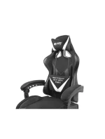 HERNÍ ŽIDLE FURY AVENGER L BLACK & WHITE NFF-1711 HERNÍ ŽIDLE FURY AVENGER L BLACK & WHITE NFF-1711