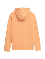 Pánská mikina M266 M 4FSS23TSWSM266 64S - 4F