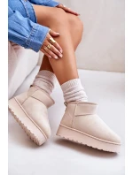 Dámské Sněhule Na Platformě Zateplené Kožíškem Světle Béžové Xamella