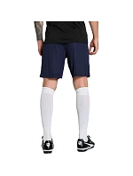 Pánské šortky Puma Team Goal navy blue 705752 06