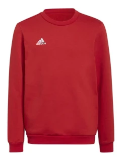 Dětská mikina Entrada 22 Sweat Jr H57473 - Adidas