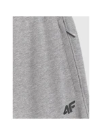 Pánské tepláky typu jogger 4F 4FRMM00TTROM1624-27M